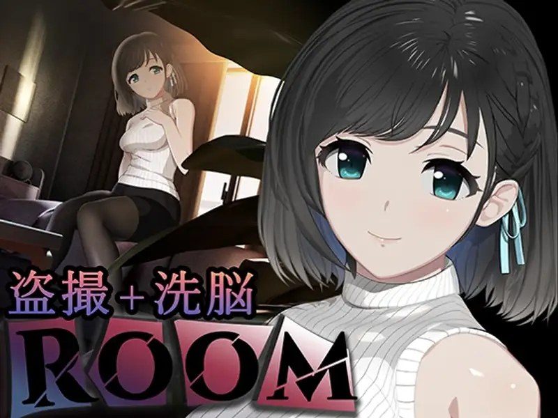 ROOM 资源内容 实机截图
